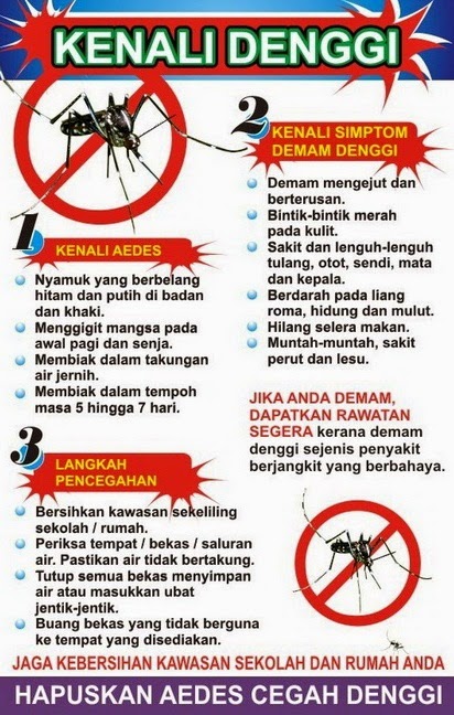 Denggi, demam denggi, kes denggi meningkat, wabak denggi, serangan denggi, ancaman denggi boleh membawa maut, kesan denggi, cara hapuskan, bunuh pembiakan nyamuk aedes, virus denggi, kematian akibat denggi