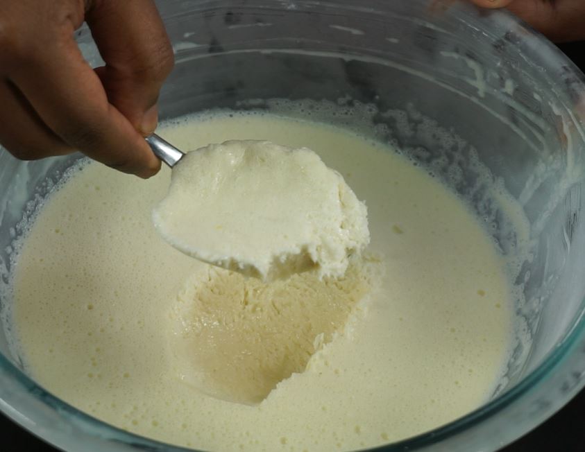 Homemade Eggless Ice cream Recipe Steffi's Recipes