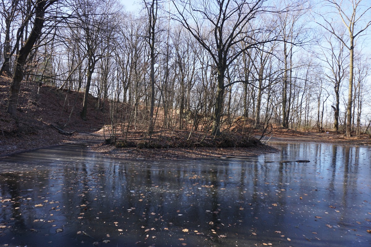 Harriman Hiker Harriman State Park and Beyond Flat Rock Brook Nature