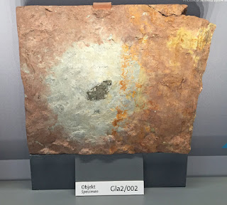 Újabb fosszilis meteorit Újabb fosszilis meteorit