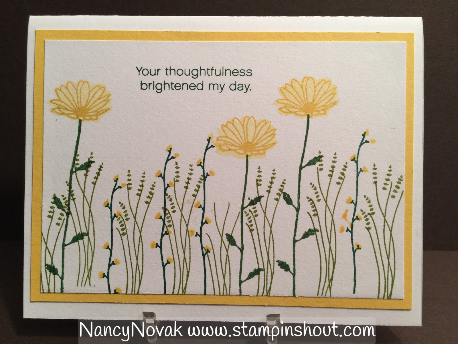 STAMPINSHOUT Daisy Delight Field of Green