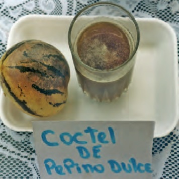 Cóctel de Pepino Dulce