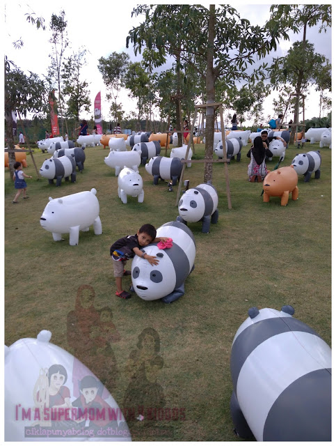 Banyaknya beruang comel di EcoForest, Broga Hills Semenyih. Banyaknya beruang comel di EcoForest, Broga Hills Semenyih.