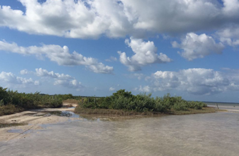 Llamado del Ayuntamiento de Isla Mujeres para la protección del ecosistema de la laguna Chacmuchuch