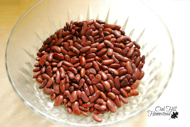 A glass bowl of dried red kidney beans