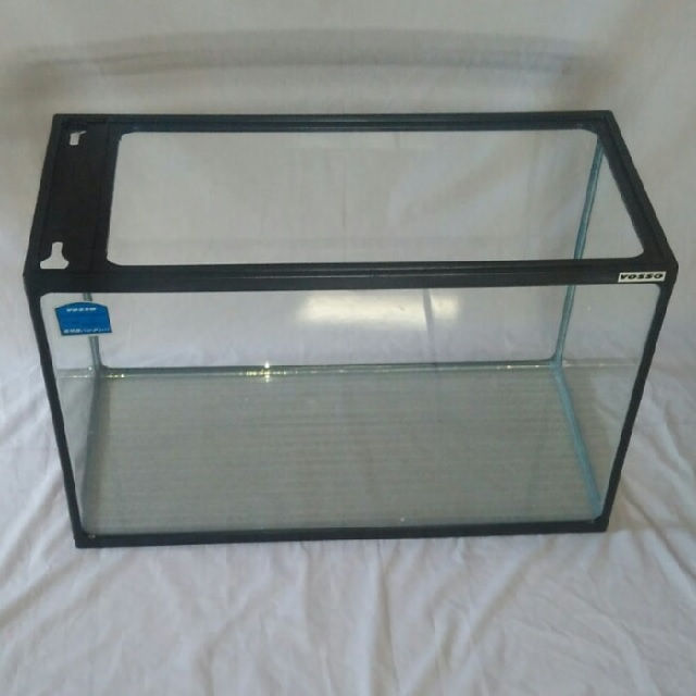 Harga Aquarium Untuk Ikan Arwana Rahasia Trik Mancing