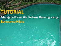 menjernihkan kolam renang berwarna hijau menjernihkan kolam renang berwarna hijau
