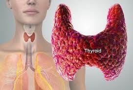 Naturally%2BThyroid%2BHealth%2BTips.jpg