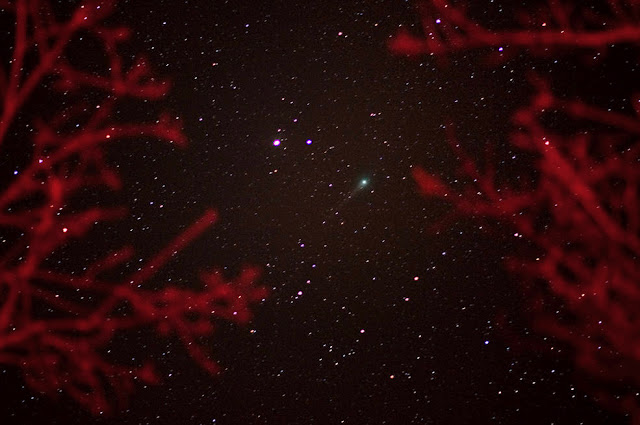 cometa Lulin - Bill Ingalls