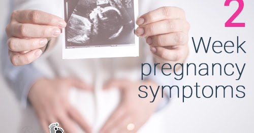 Pregnancy Symptoms Week 2 Early Signs Of Pregnancy First 2 Weeks 2