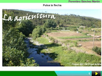 https://cplosangeles.educarex.es/web/edilim/curso_3/cmedio/los_trabajos_3/agricultura/agricultura.html