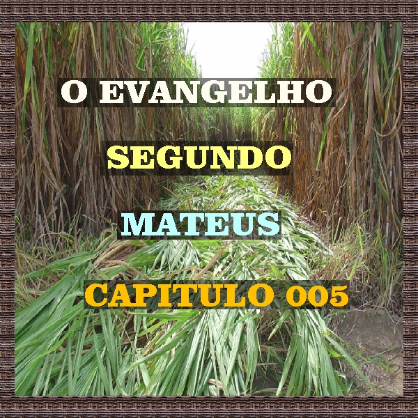 O EVANGELHO SEGGUNDO SÃO MATEUS CAPITULO 005+A NARRAÇÃO