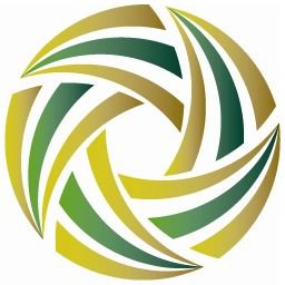 Arabia saudita professional league Arabia saudita professional league