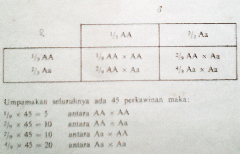 Perubahan Perbandingan Frekuensi Gen Pada Populasi