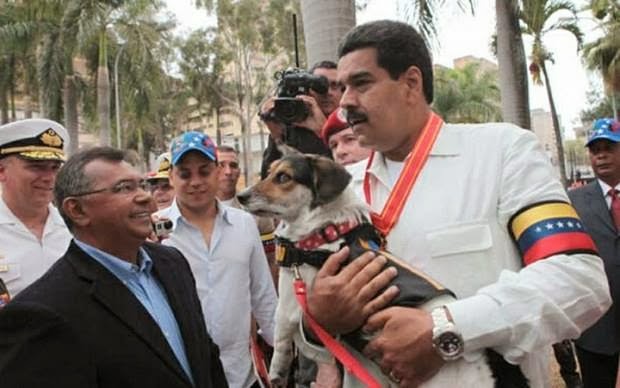 PRESIDENTE DE VENEZUELA NICOLAS MADURO CREA UNA MISION POR LOS ANIMALES