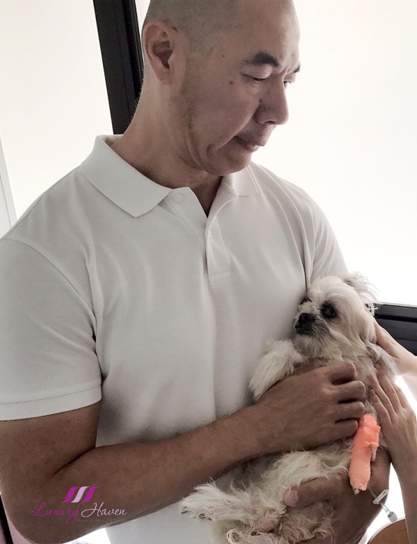 How Much Does It Cost To Treat A Dog With Pyometra