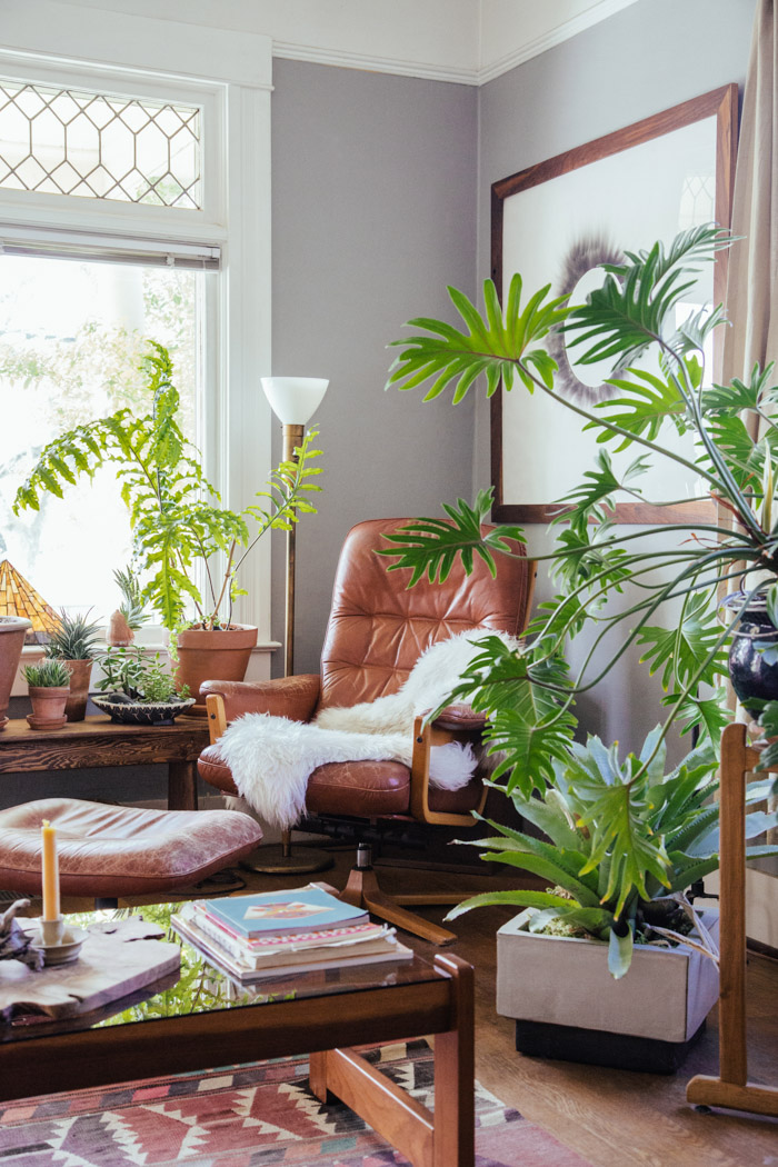 decoracao de interiores sao joao da madeira: Plantas em alta na decoração!! – Jeito de Casa – Blog de Decoração decoracao de interiores sao joao da madeira: Plantas em alta na decoração!! – Jeito de Casa – Blog de Decoração