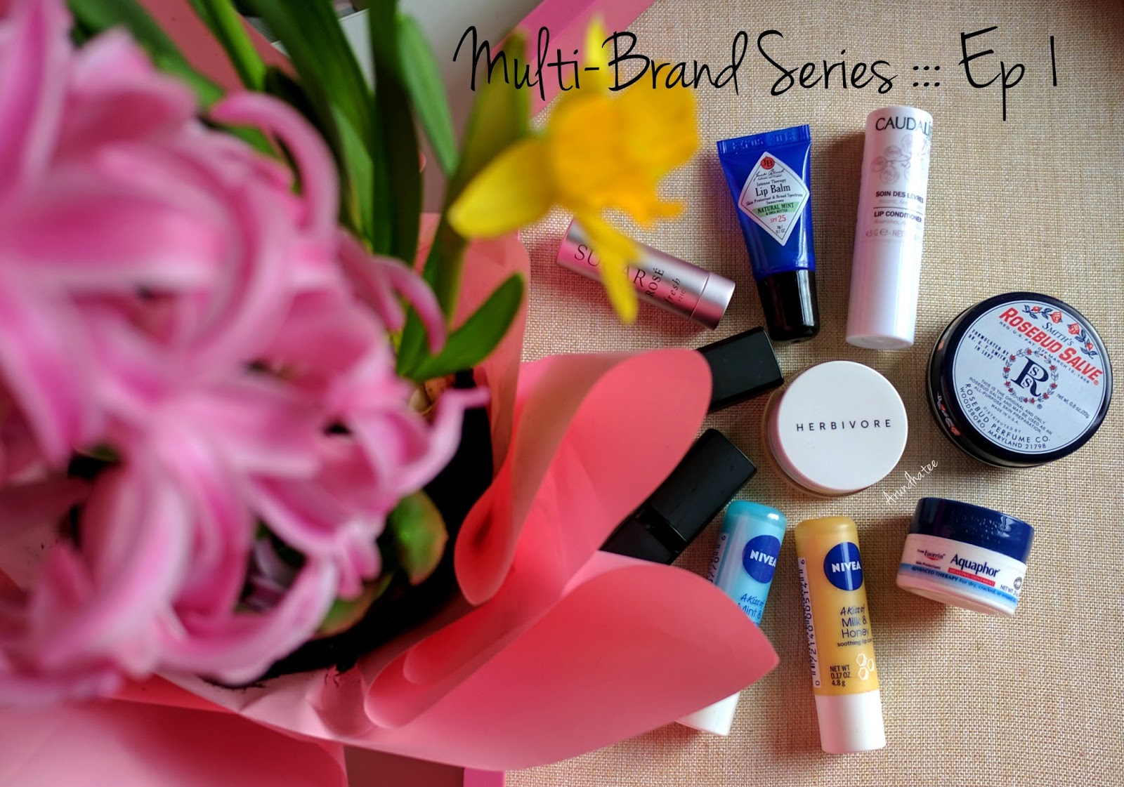 Discovering me Lip Balms Galore Multi Brand Series, Episode 1