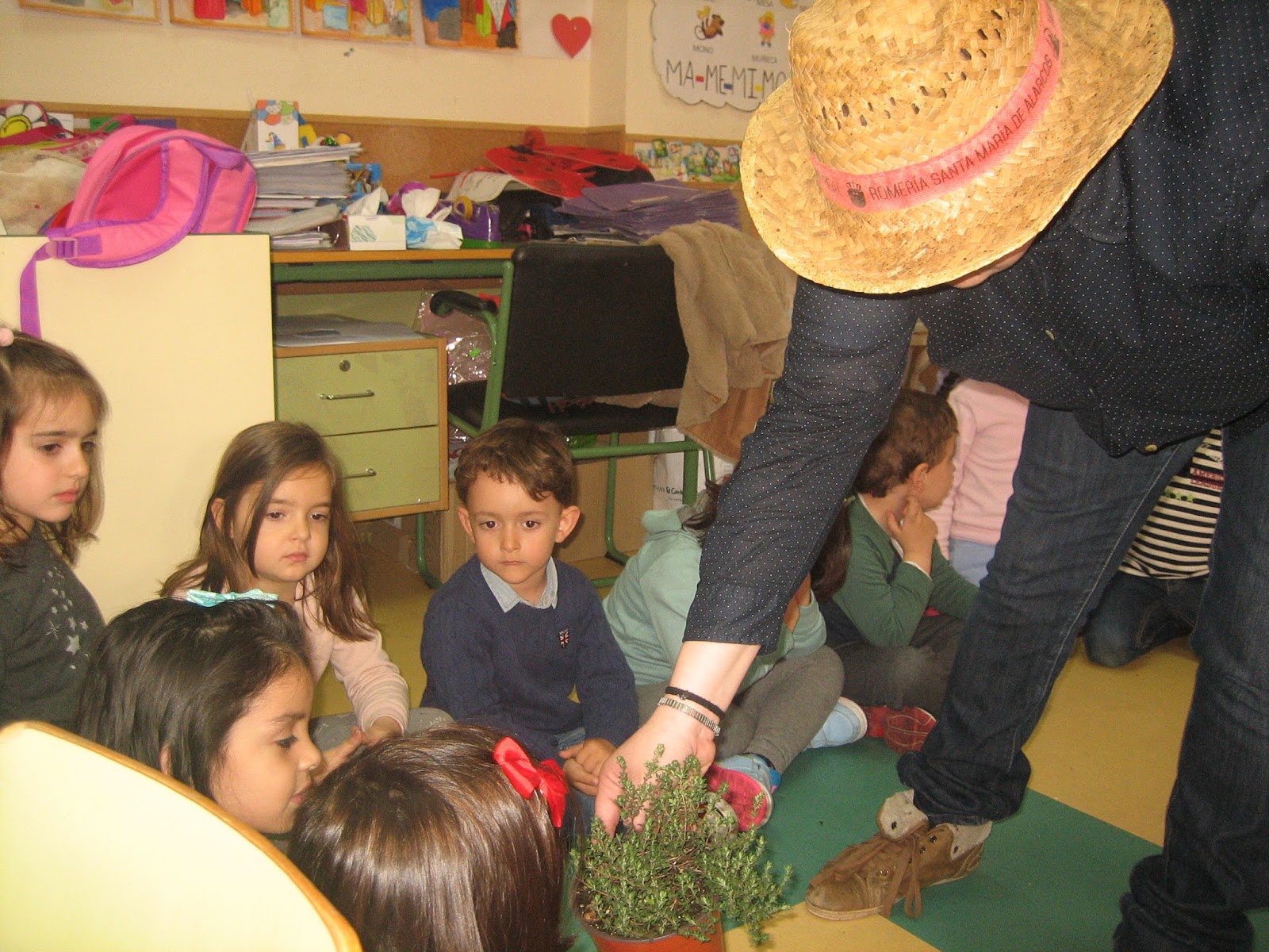 Pequetren Colorado: UNA JARDINERA EN EL COLE
