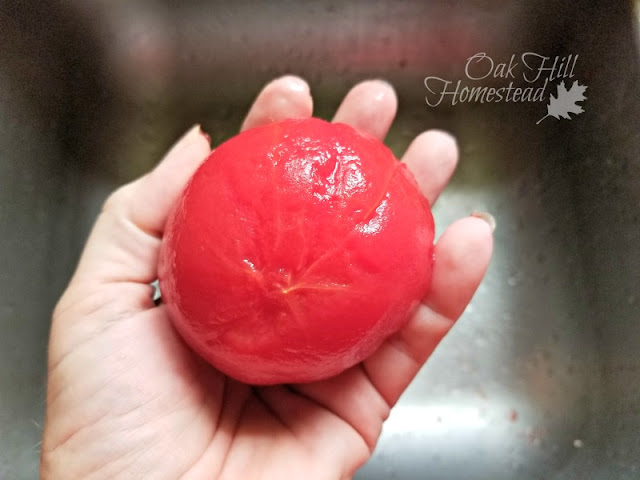 A woman's hand holding a large, peeled tomato