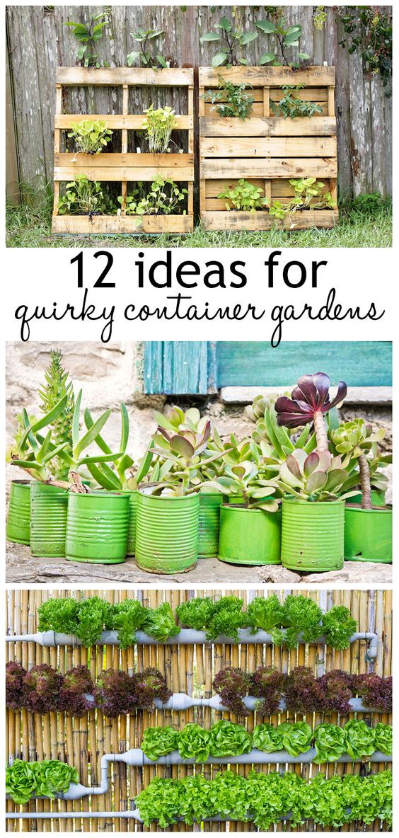 12 Ideas For Quirky Containers Gardens Everything About Garden