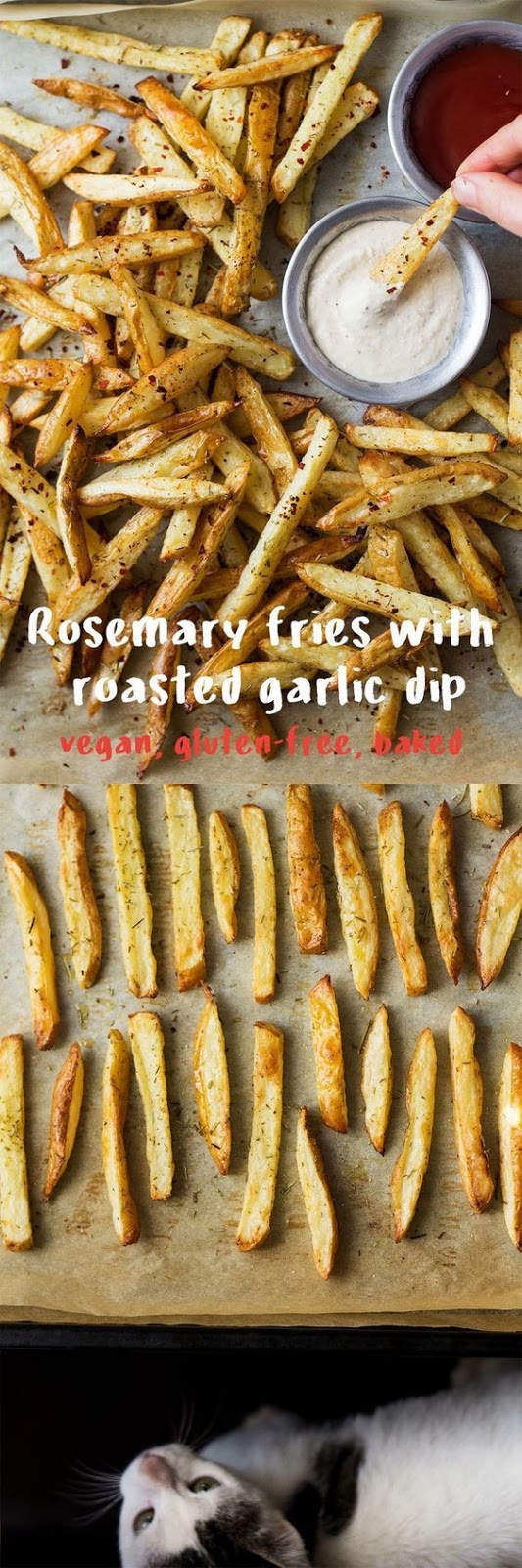Lately, my favourite midnight snack is crispy rosemary fries with a roasted garlic dip (me) or ketchup (Duncan, who says that his childhood motto was ‘ketchup on everything’). I know, I know, eating too close to your bedtime isn’t really a good idea and perhaps I should not endorse it here… But we all have these moments when we had a healthy and light dinner, say 3 hours before going to bed, and then suddenly we find ourselves on a cliff hanger of Breaking Bad and we really want to find out what happened next but dinner is a distant memory and we’re getting peckish. Lately, my favourite midnight snack is crispy rosemary fries with a roasted garlic dip (me) or ketchup (Duncan, who says that his childhood motto was ‘ketchup on everything’). I know, I know, eating too close to your bedtime isn’t really a good idea and perhaps I should not endorse it here… But we all have these moments when we had a healthy and light dinner, say 3 hours before going to bed, and then suddenly we find ourselves on a cliff hanger of Breaking Bad and we really want to find out what happened next but dinner is a distant memory and we’re getting peckish.