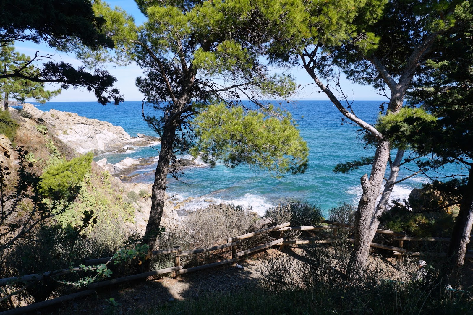 musings florida snow shovel