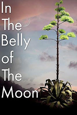 In The Belly Of The Moon Dvd