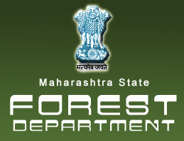Forest Guard 402 Jobs in Maharashtra (Kolhapur, Pune, Dhule, Nasik ...