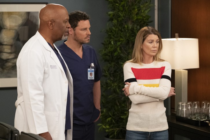 Grey's Anatomy - Episode 15.25 - Jump into the Fog (Season Finale) - Promo, Promotional Photos + Press Release
