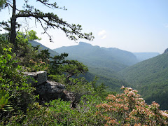 View Of Table Rock From Linville Gorge