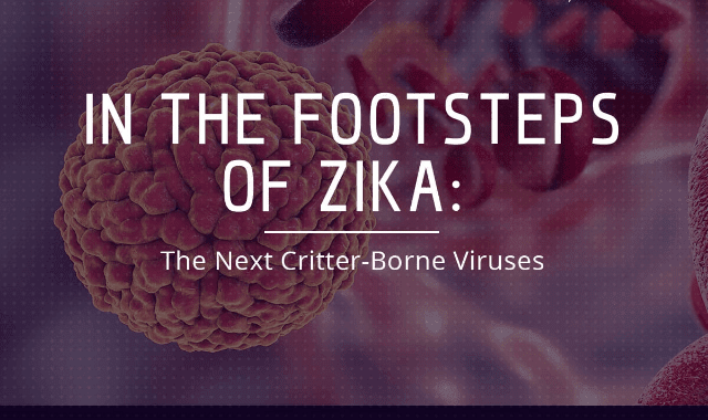 In The Footsteps Of Zika: The Next Critter-Borne Viruses