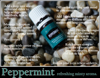 Peppermint Essential Oil