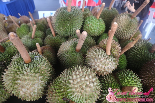 Durian D24 RM 65 Sekilo