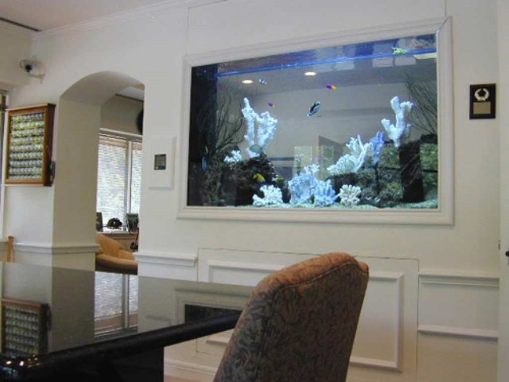 How to make wall aquarium and wall fish tank DIY