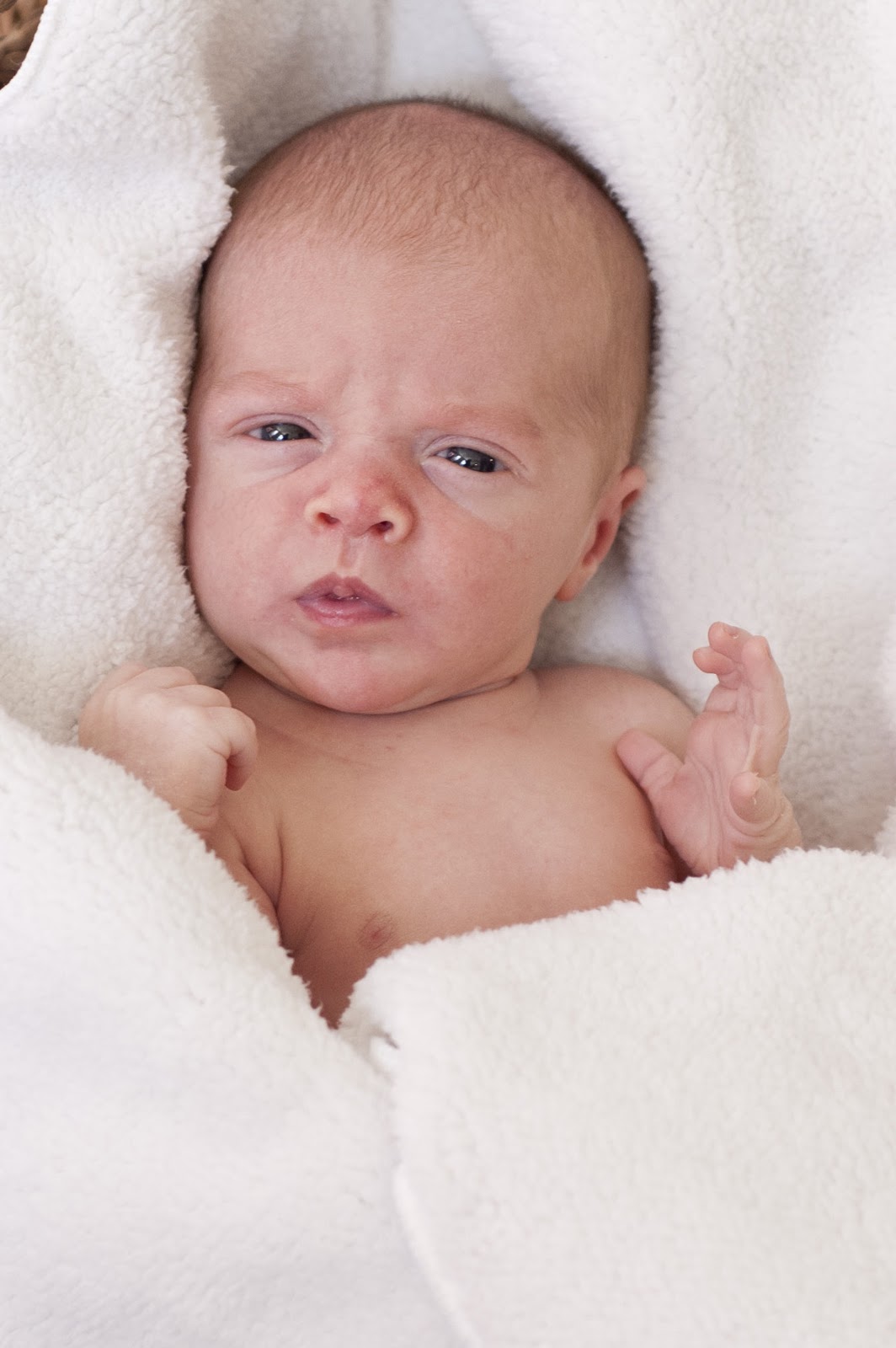 All BROWN Eyes baby will's newborn pics.