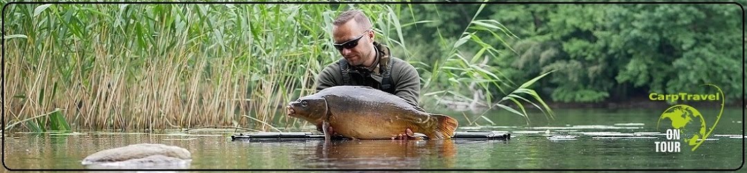 CarpTravel  - Blog