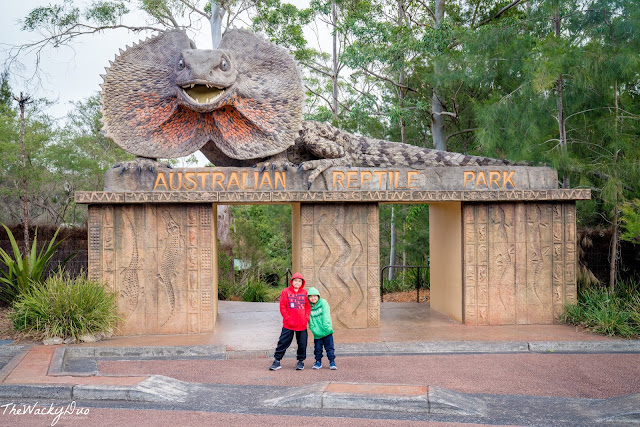 Australian Reptile Park Sydney Review 