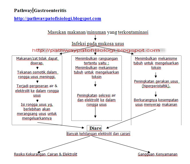 Pathway Gastroenteritis Pathway Patofisiologi