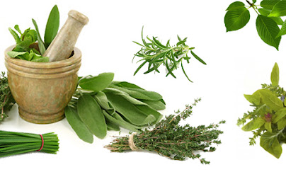 Why Seek Ayurvedic Solutions to Health issues
