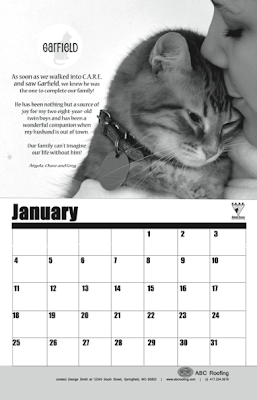Jan 2015 page of calendar supporting animal rescue - cat photo