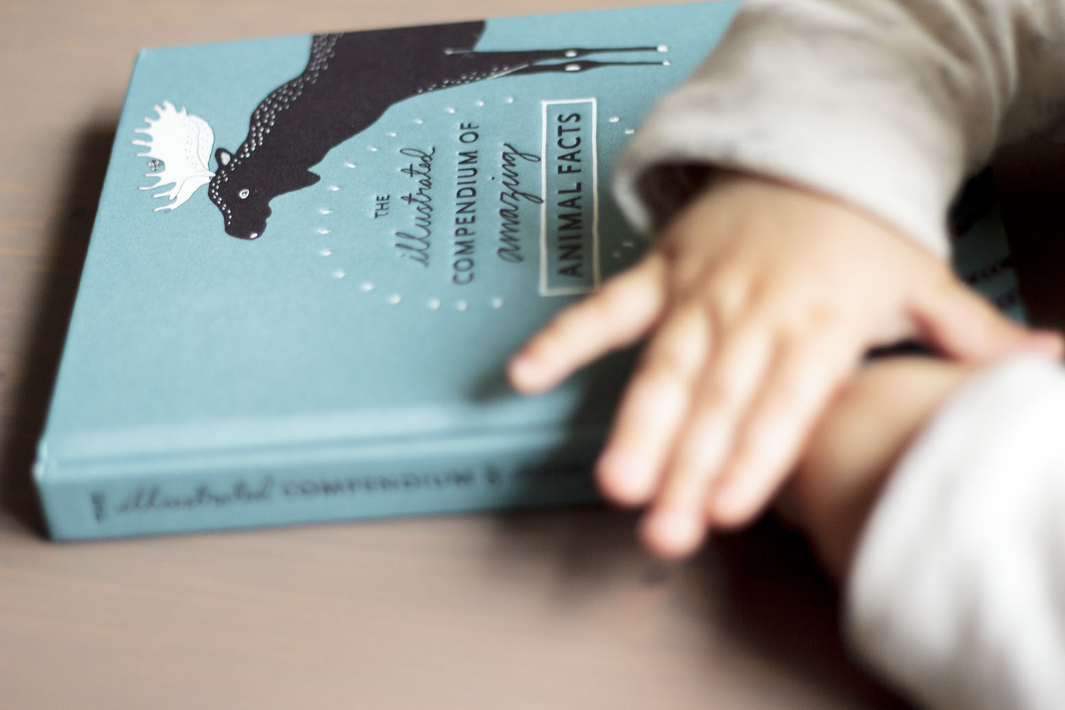 Majasbok book Majasbok book