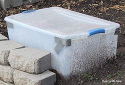 greenhouse mini plastic storage container cheap slush becomes ice containers fails stretch film winters lettuce growing stretches garden