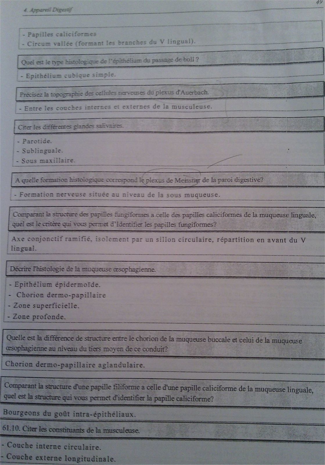 serie verte histologie