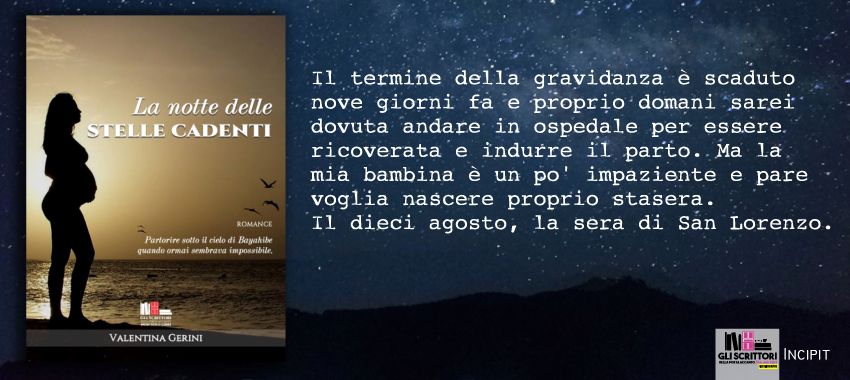 La notte delle stelle cadenti, di Valentina Gerini: incipit La notte delle stelle cadenti, di Valentina Gerini: incipit