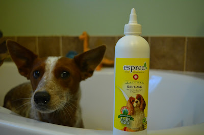 dog ear cleaner wash