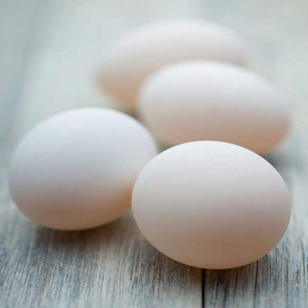 manfaat-telur-ayam