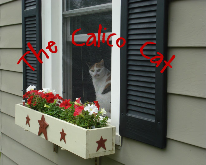 The Calico Cat....