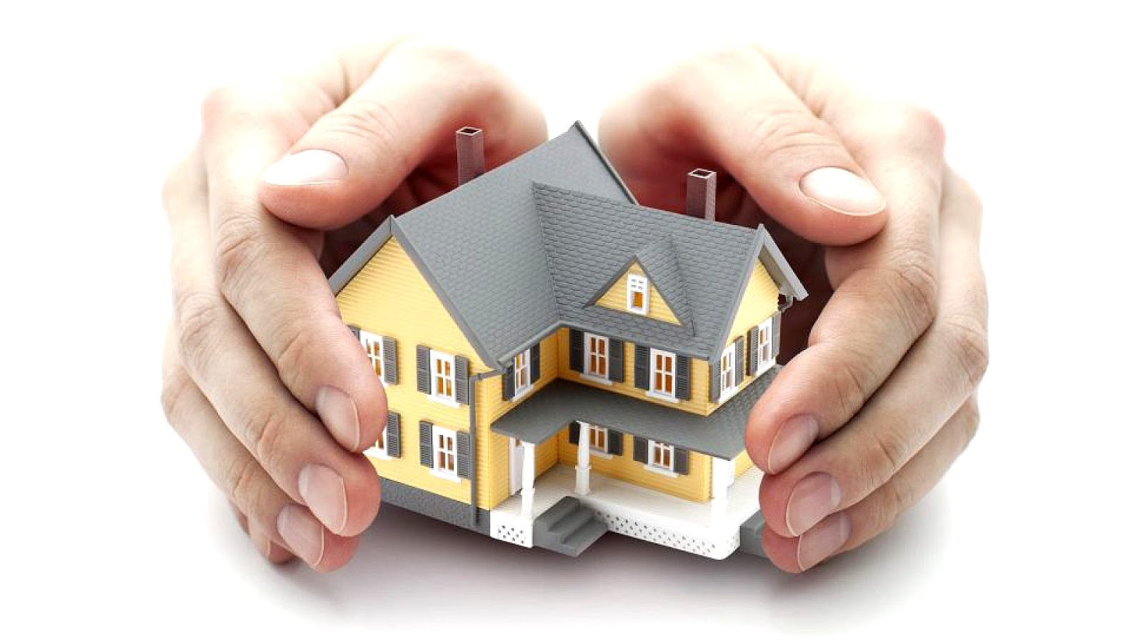 Real Estate Title Search Title Choices