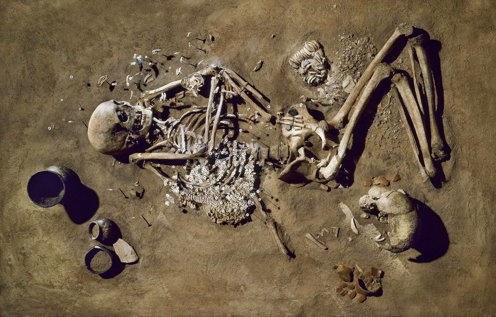 3 тысячи лет жила. Палеолитические погребения. Ancient DNA. Череп охотника собирателя. Собиратель костей.